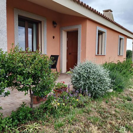 Agriturismo Gli Olivastri -Appartamento Bel Vedere Con Piscina ,Solarium E Vista Mare,Climatizzatore ,Wifi Aglientu Eksteriør bilde