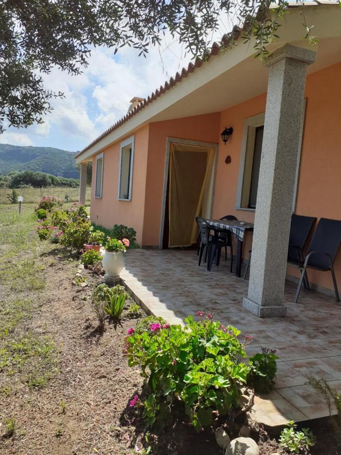 Agriturismo Gli Olivastri -Appartamento Bel Vedere Con Piscina ,Solarium E Vista Mare,Climatizzatore ,Wifi Aglientu Eksteriør bilde