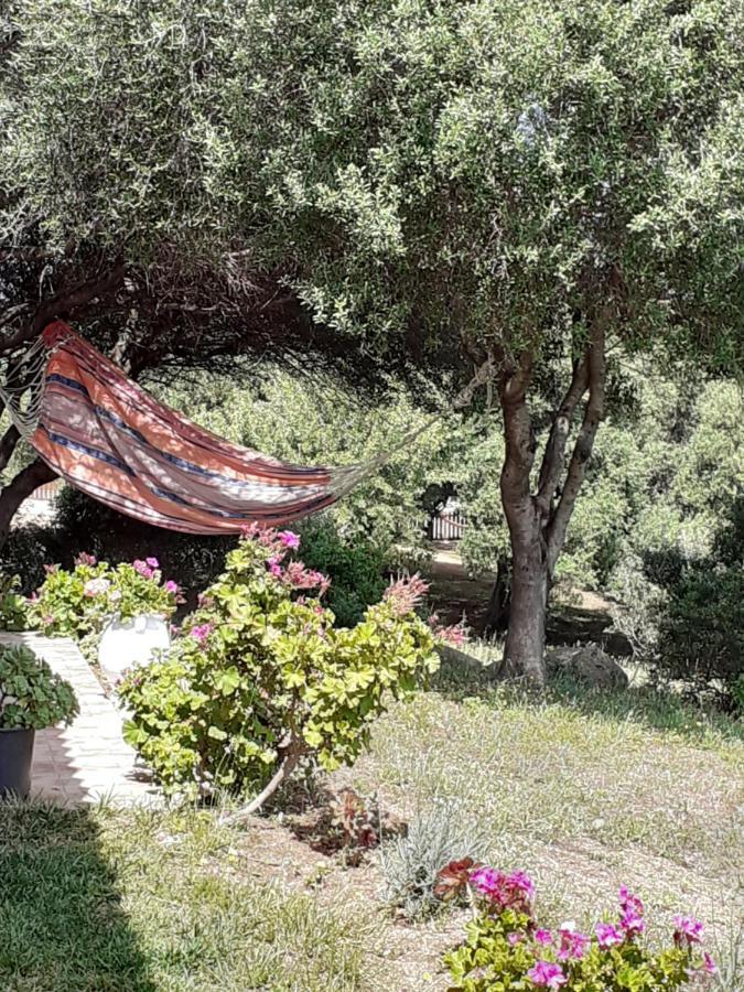 Agriturismo Gli Olivastri -Appartamento Bel Vedere Con Piscina ,Solarium E Vista Mare,Climatizzatore ,Wifi Aglientu Eksteriør bilde