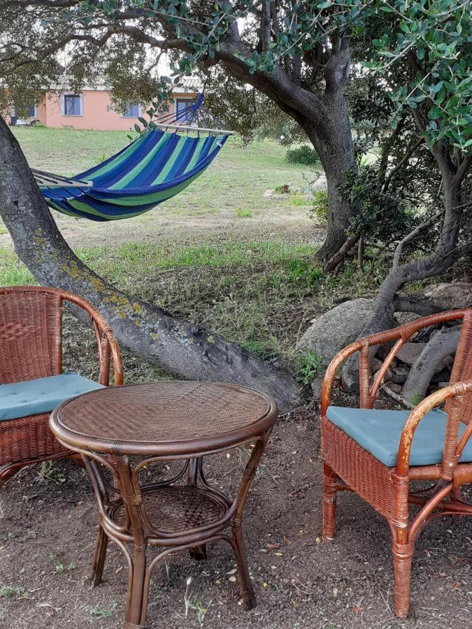 Agriturismo Gli Olivastri -Appartamento Bel Vedere Con Piscina ,Solarium E Vista Mare,Climatizzatore ,Wifi Aglientu Eksteriør bilde