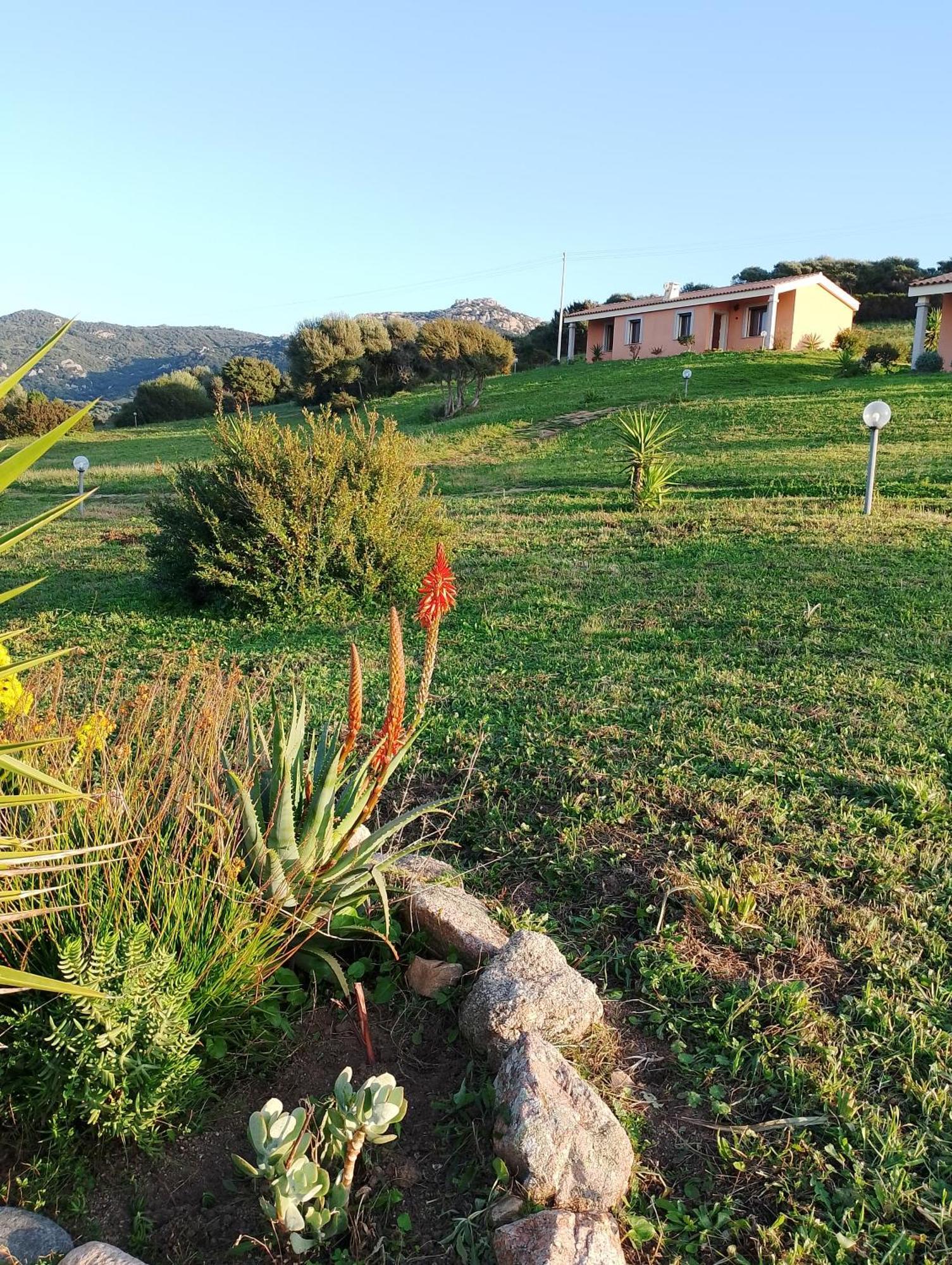 Agriturismo Gli Olivastri -Appartamento Bel Vedere Con Piscina ,Solarium E Vista Mare,Climatizzatore ,Wifi Aglientu Eksteriør bilde